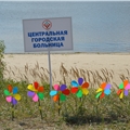 photo_6.jpg
